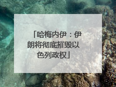 哈梅内伊：伊朗将彻底摧毁以色列政权