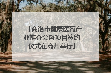 商洛市健康医药产业推介会暨项目签约仪式在商州举行