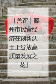 善评｜滕州市民营经济在创新沃土上绽放高质量发展之花
