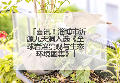喜讯！淄博市沂源九天洞入选《全球岩溶景观与生态环境图集》