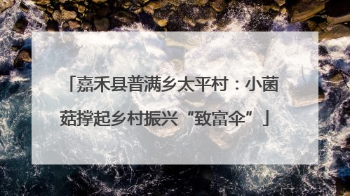 嘉禾县普满乡太平村：小菌菇撑起乡村振兴“致富伞”