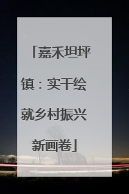 嘉禾坦坪镇：实干绘就乡村振兴新画卷