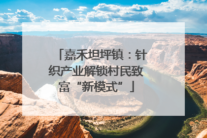 嘉禾坦坪镇：针织产业解锁村民致富“新模式”