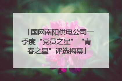 国网南阳供电公司一季度“党员之星”“青春之星”评选揭幕