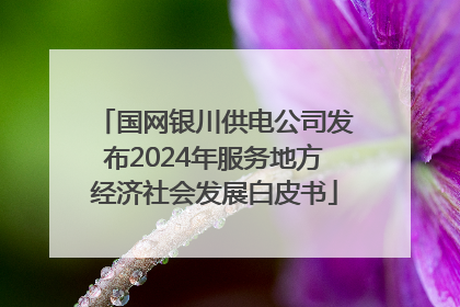 国网银川供电公司发布2024年服务地方经济社会发展白皮书