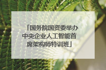 国务院国资委举办中央企业人工智能首席架构师特训班