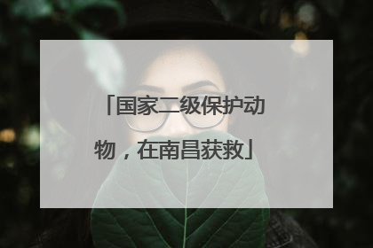 国家二级保护动物，在南昌获救