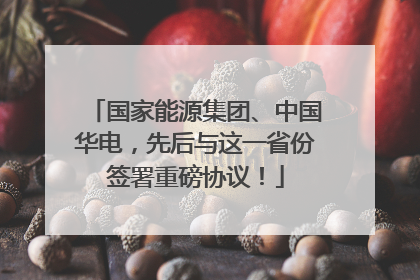 国家能源集团、中国华电，先后与这一省份签署重磅协议！