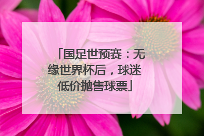 国足世预赛：无缘世界杯后，球迷低价抛售球票