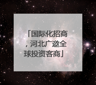 国际化招商，河北广邀全球投资客商