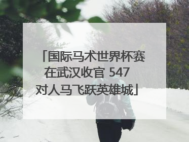 国际马术世界杯赛在武汉收官 547对人马飞跃英雄城