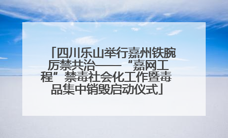 四川乐山举行嘉州铁腕 厉禁共治——“嘉网工程”禁毒社会化工作暨毒品集中销毁启动仪式