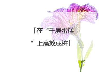 在“千层蛋糕”上高效成桩