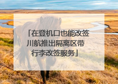 在登机口也能改签 川航推出隔离区带行李改签服务