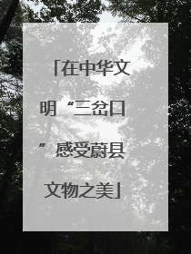 在中华文明“三岔口”感受蔚县文物之美