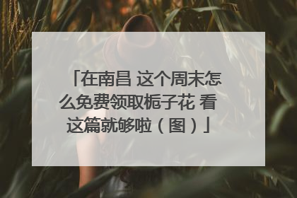 在南昌 这个周末怎么免费领取栀子花 看这篇就够啦（图）