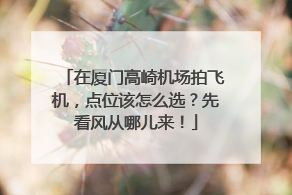 在厦门高崎机场拍飞机，点位该怎么选？先看风从哪儿来！