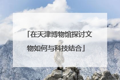 在天津博物馆探讨文物如何与科技结合