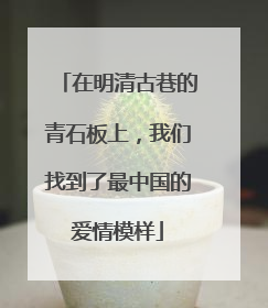 在明清古巷的青石板上，我们找到了最中国的爱情模样