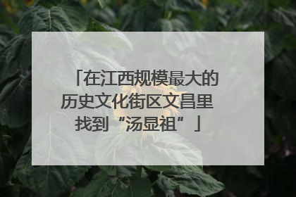 在江西规模最大的历史文化街区文昌里找到“汤显祖”