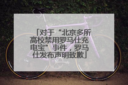 对于“北京多所高校禁用罗马仕充电宝”事件，罗马仕发布声明致歉