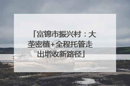 富锦市振兴村：大垄密植+全程托管走出增收新路径