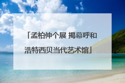 孟柏伸个展 揭幕呼和浩特西贝当代艺术馆
