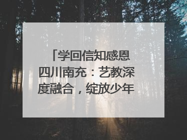 学回信知感恩 四川南充：艺教深度融合，绽放少年儿童风采｜您牵挂的四川
