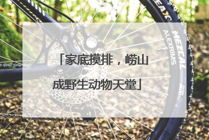 家底摸排，崂山成野生动物天堂