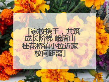 家校携手，共筑成长阶梯 峨眉山桂花桥镇小拉近家校间距离