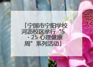 宁国市宁阳学校河沥校区举行“5・25 心理健康周”系列活动
