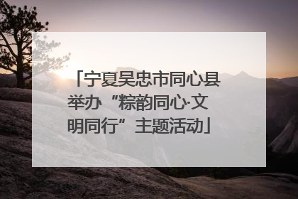 宁夏吴忠市同心县举办“粽韵同心·文明同行”主题活动