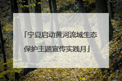 宁夏启动黄河流域生态保护主题宣传实践月