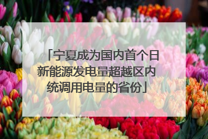 宁夏成为国内首个日新能源发电量超越区内统调用电量的省份