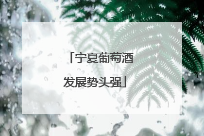 宁夏葡萄酒发展势头强