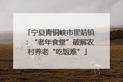 宁夏青铜峡市瞿靖镇：“老年食堂”破解农村养老“吃饭难”