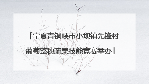 宁夏青铜峡市小坝镇先锋村葡萄整穗疏果技能竞赛举办