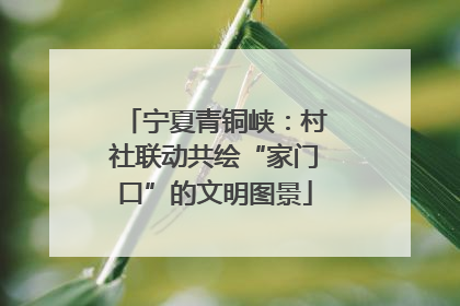 宁夏青铜峡：村社联动共绘“家门口”的文明图景