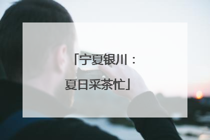 宁夏银川：夏日采茶忙