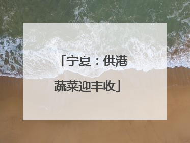 宁夏：供港蔬菜迎丰收