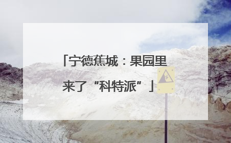 宁德蕉城：果园里来了“科特派”