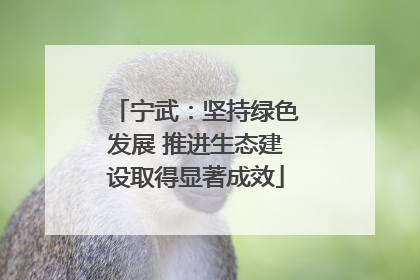 宁武：坚持绿色发展 推进生态建设取得显著成效