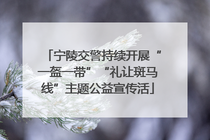 宁陵交警持续开展“一盔一带”“礼让斑马线”主题公益宣传活