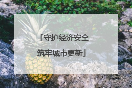 守护经济安全 筑牢城市更新
