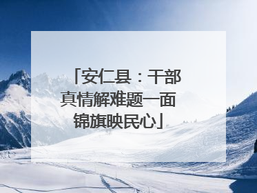 安仁县：干部真情解难题一面锦旗映民心