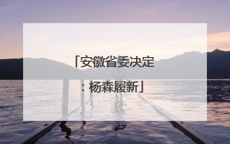 安徽省委决定：杨森履新