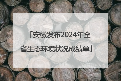 安徽发布2024年全省生态环境状况成绩单