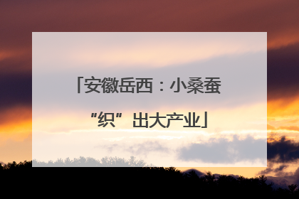 安徽岳西：小桑蚕“织”出大产业