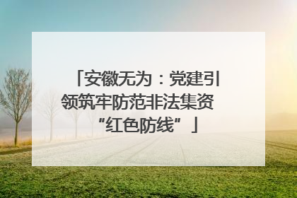 安徽无为：党建引领筑牢防范非法集资“红色防线”