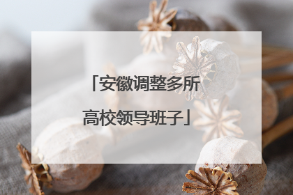 安徽调整多所高校领导班子